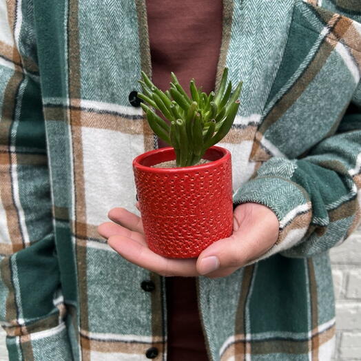 Композиция "Ягодка"