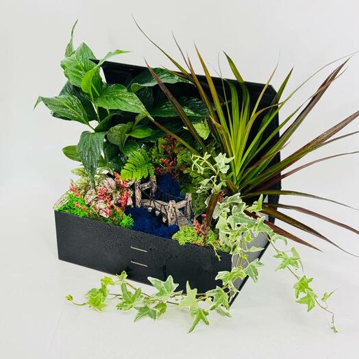 Книга с мини садом из домашних цветов с декором