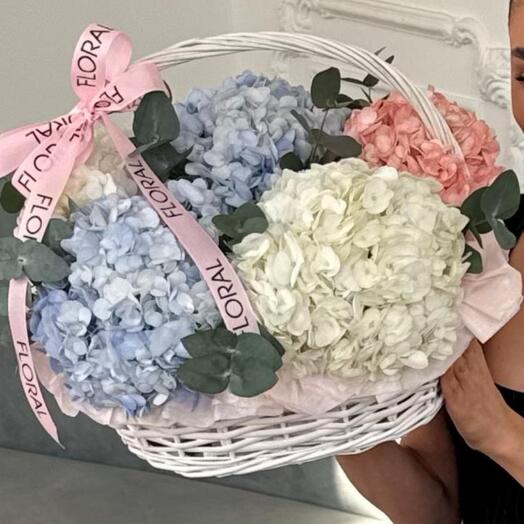 Корзина CLOUD S