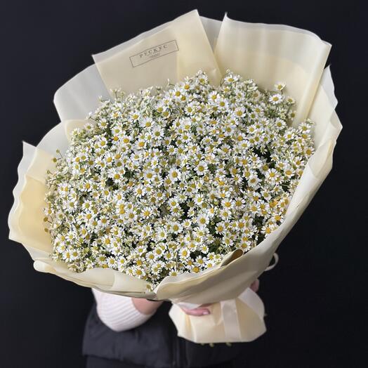 Букет из 51 ромашки
