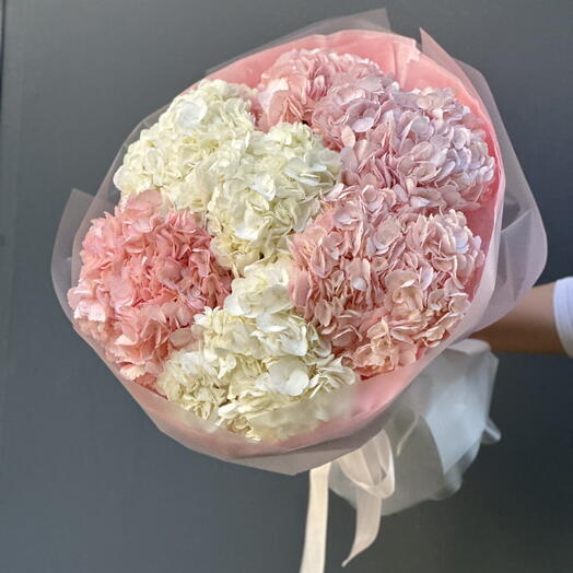 Нежные гортензии