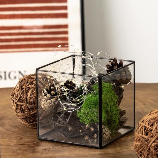 Стеклянное мини-кашпо , прозрачный горшок для цветов