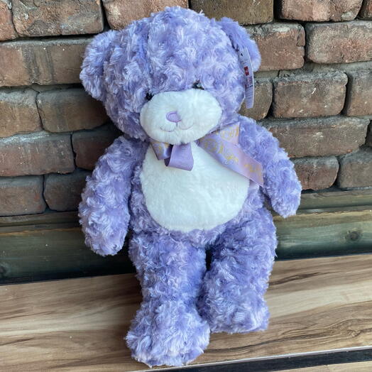 Purple bear 55 cm