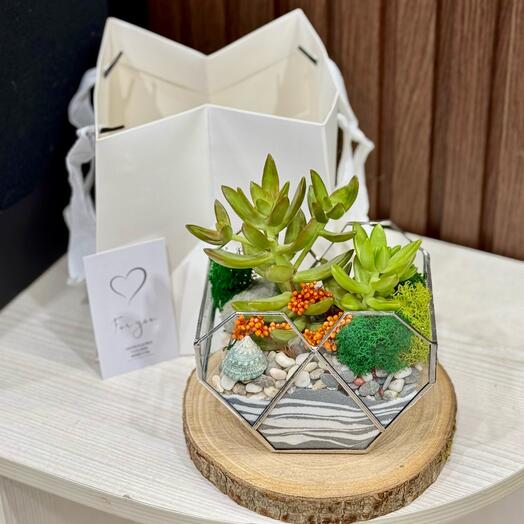 Флорариум любимой девушке с живыми цветами