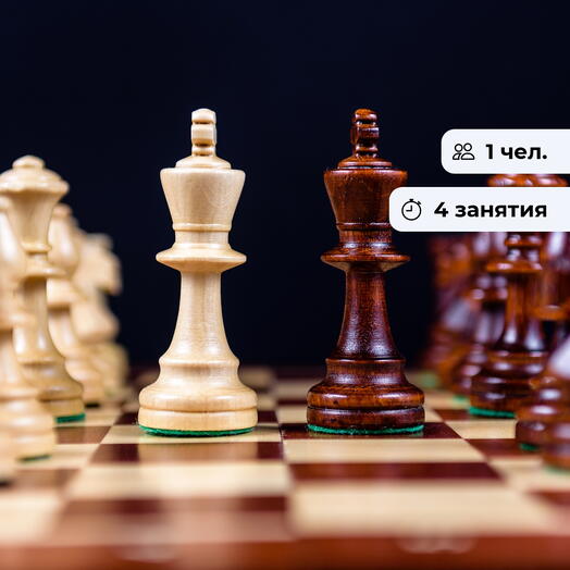Королевство шахмат. Курс по игре в шахматы