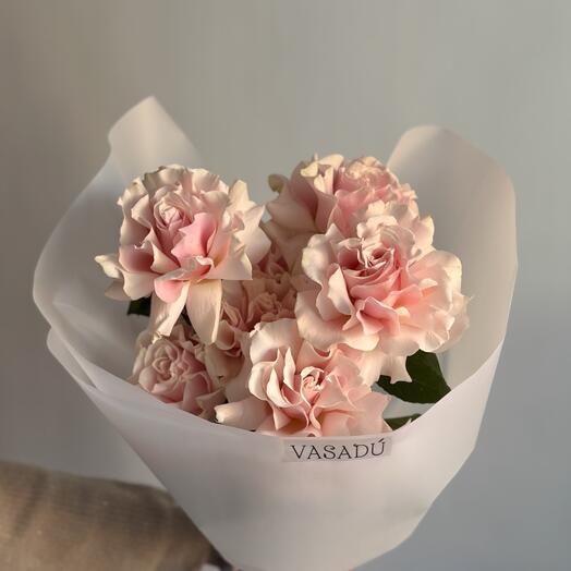 Французские розы «Pink mondial