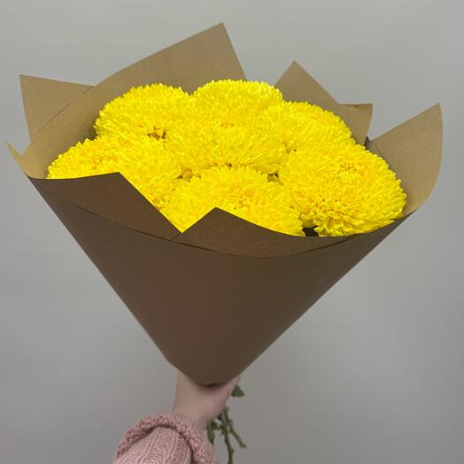 7 желтых крымских хризантем 💛💛💛