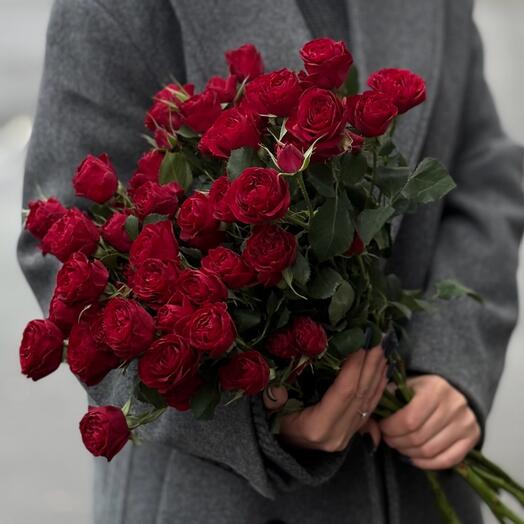 Роза Кустовая RED TRENDSETTER