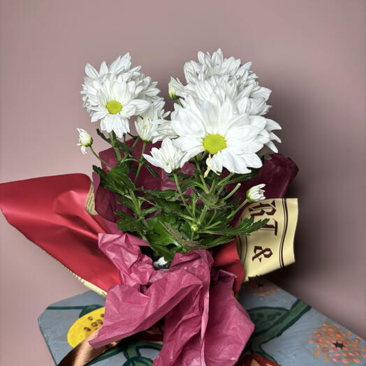 Ромашковое поле - хризантема цветущая белая в подарок ️