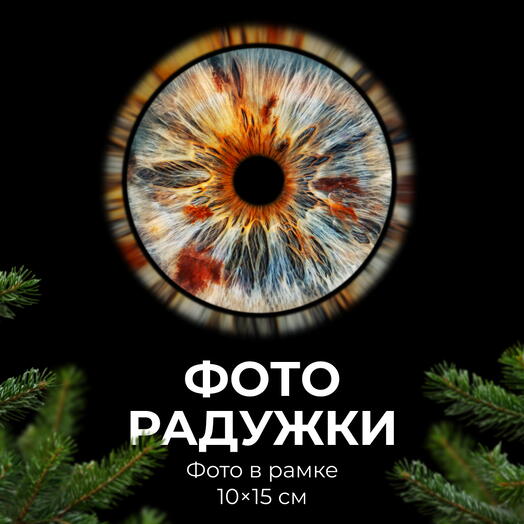 Photo of the iris + photo in a 10*15 cm frame