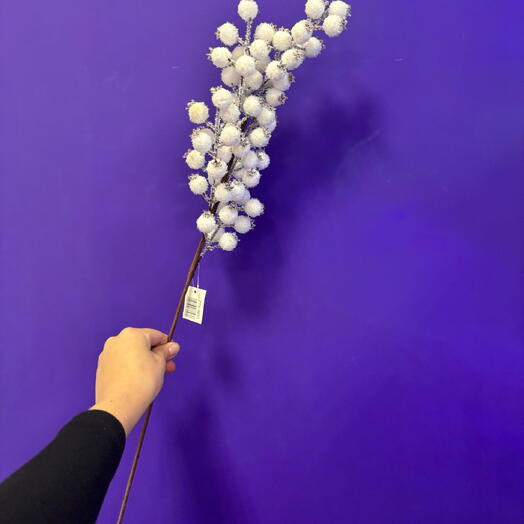 Белые ягодки со снегом