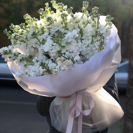 Белый рай зимы