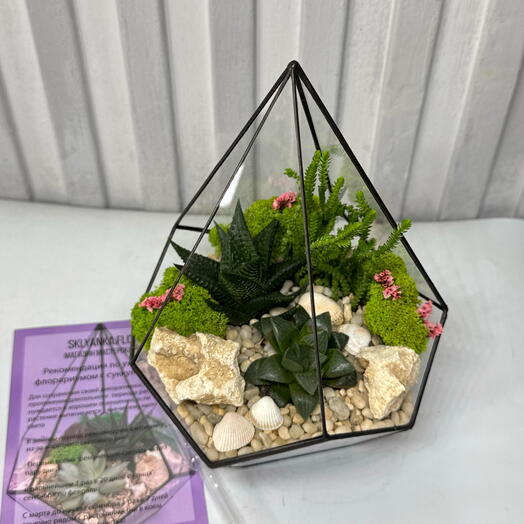 Флорариум «ПОЗДРАВЛЯЮ !» с хавортиями и крассулой2