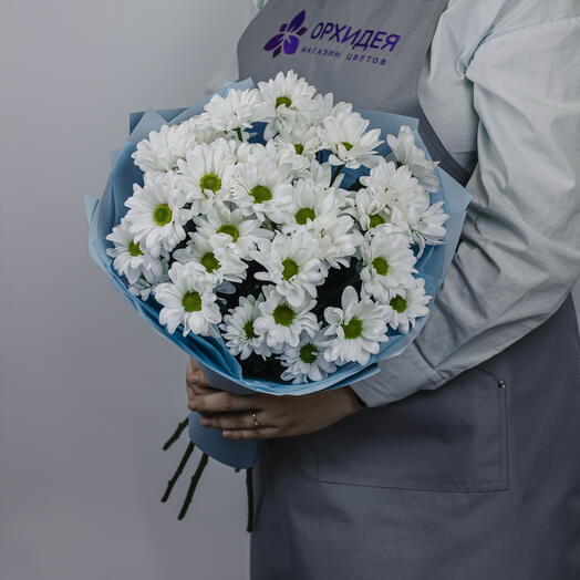 5 Хризантем "Бакарди"