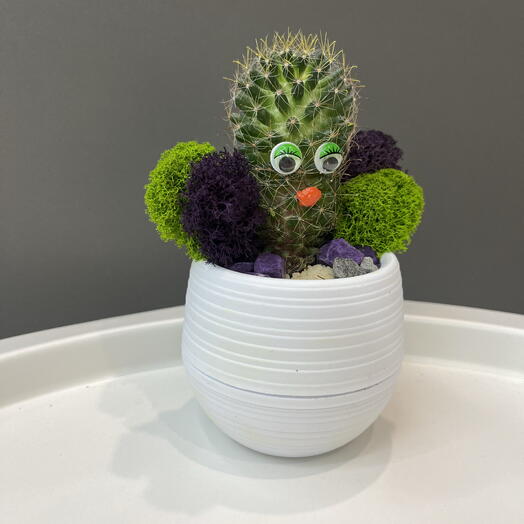 Миссис кактус 🌵