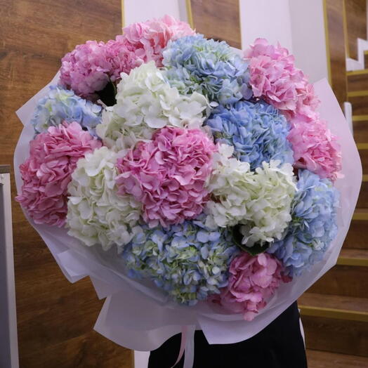 15 гортензий в оформлении