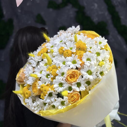 Солнце