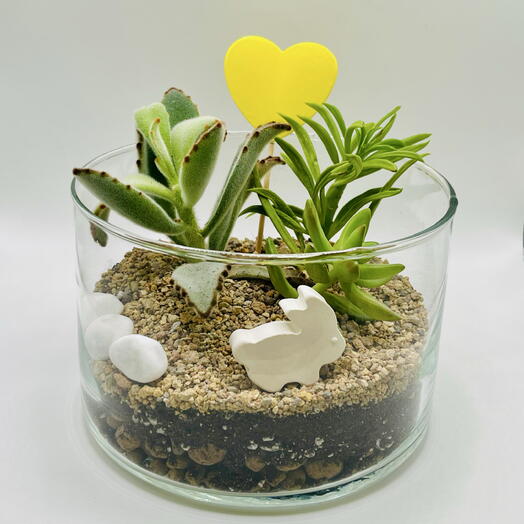 «Где-то у озера Тымкыгытгын» флорариум с тремя суккулентами, белым зайцем и желтым сердцем