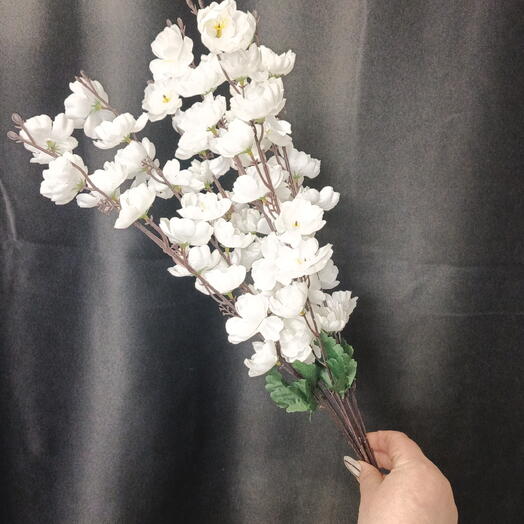 Веточка сакуры белая