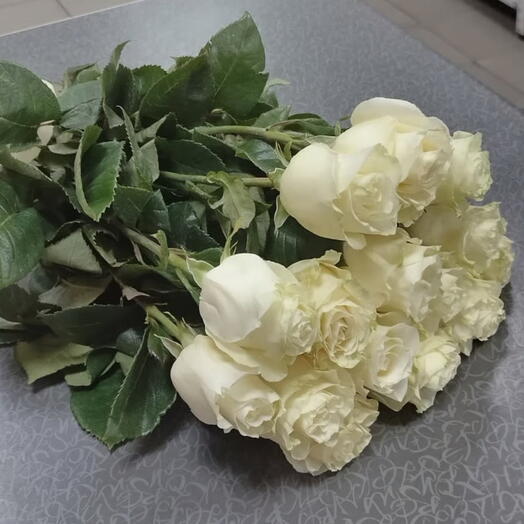 Мондиал(15шт.)