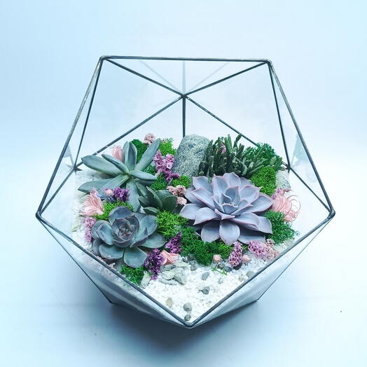 Florarium con suculentas" ternura de Terciopelo " icosaedro 22cm
