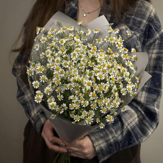 Нежный букет ромашек 🌼