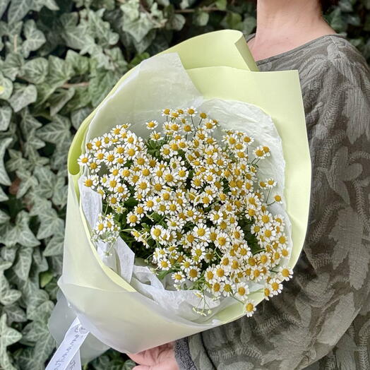 Букет ароматных маленьких ромашек 💛