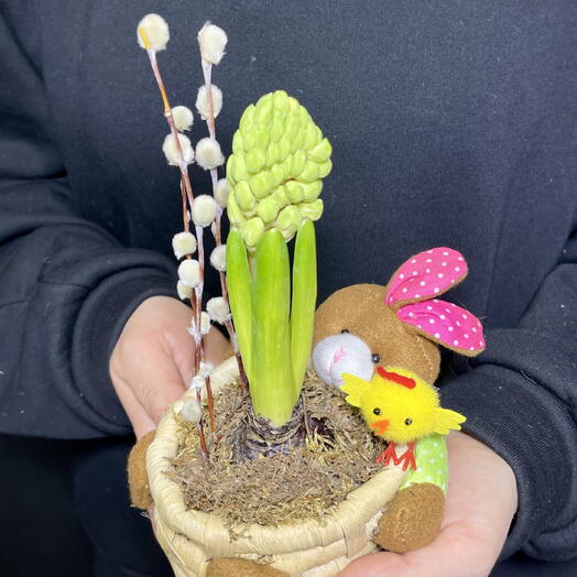 Гиацинт луковица в плетеном кашпо зайчик с вербой и сухоцветами