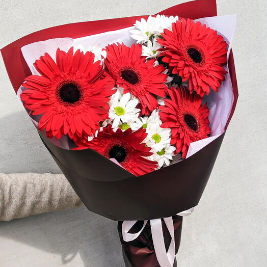 5 red gerberas