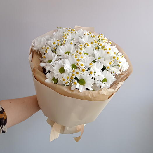 Ромашки