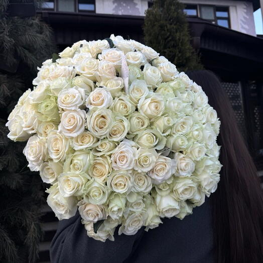 101 белая Роза 🌹