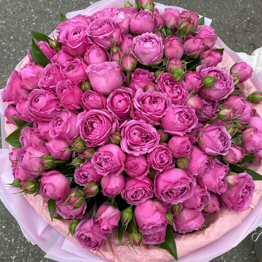 Мисти Бабблз L