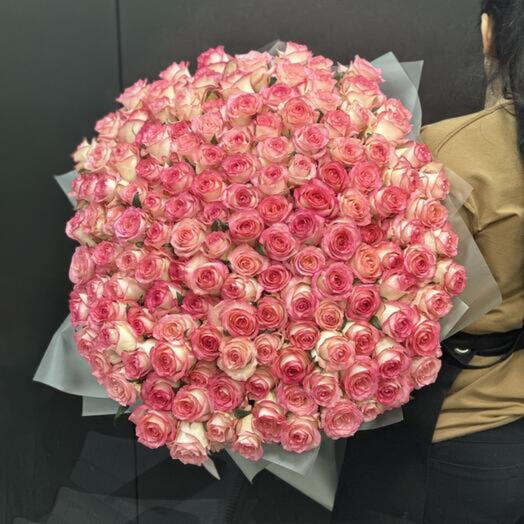 151 шикарная роза 🌸