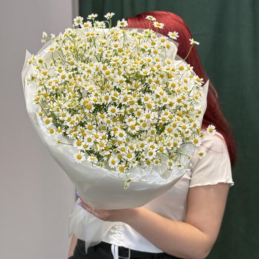 Ромашки
