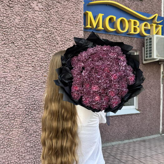 Космические диантусы 51 штука