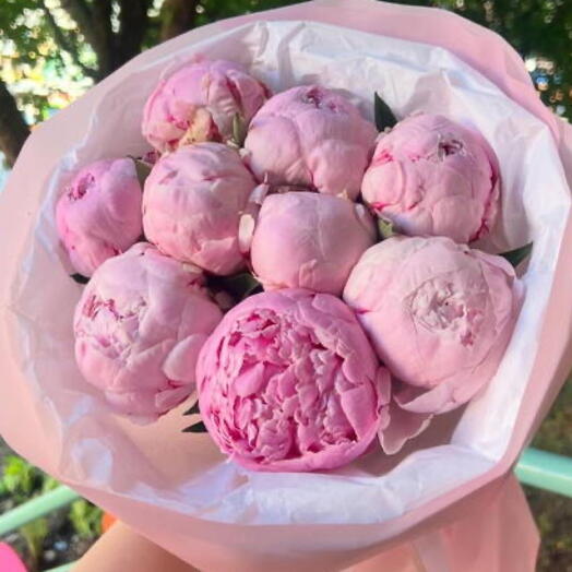 Пионы в букете 💓💓💓🎀