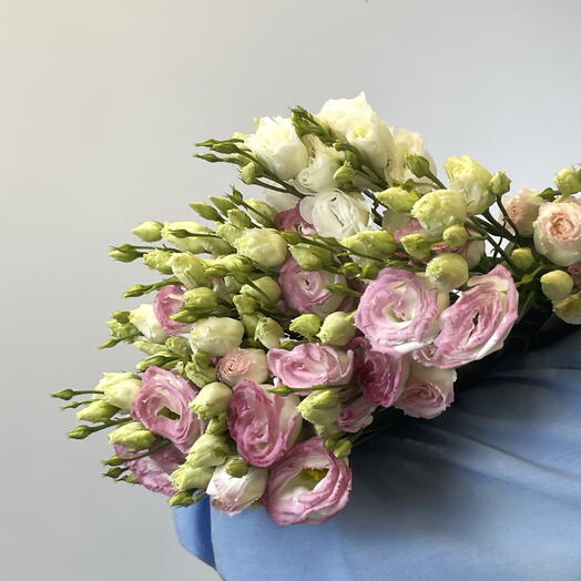 Пачка Лизиантус розовый Chroma Bridal kiss (10 шт)