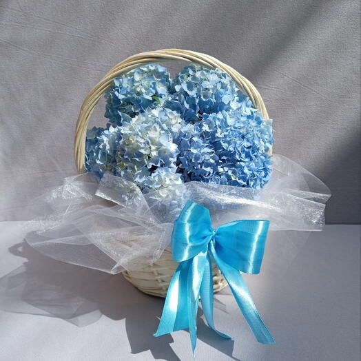 100% SUPER FRESH Гортензии голубые Hydrangeas blue