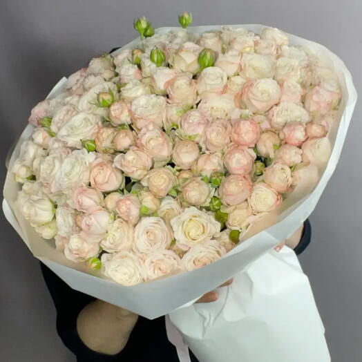 29 кустовой розы Бомбастик