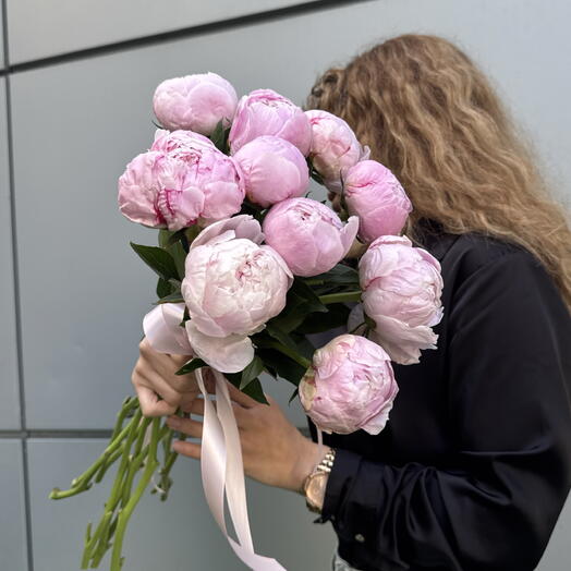 Пион Сара Бернар 11 шт под ленту 🌸