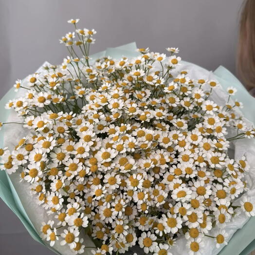 Лёгкий букет из танацетума