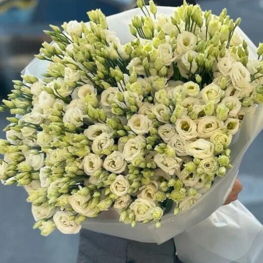Букет из 51 эустомы