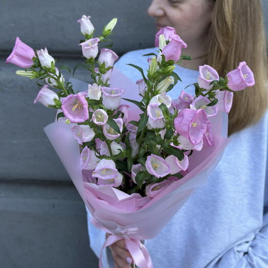 Кампанула моно