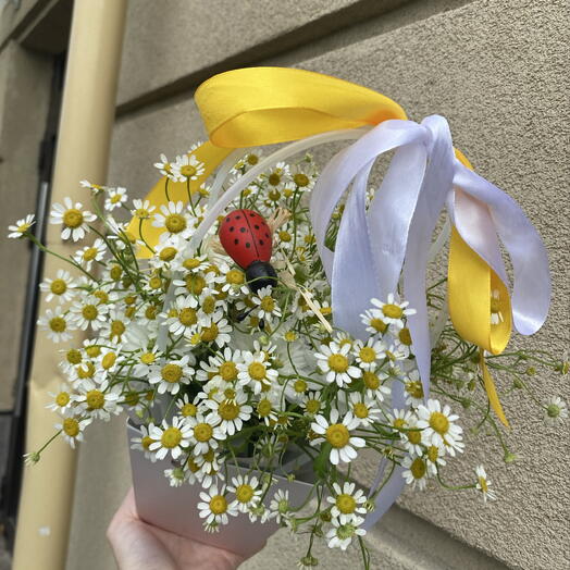 Композиция из ромашек (матрикалии) и белой кустовой хризантемы