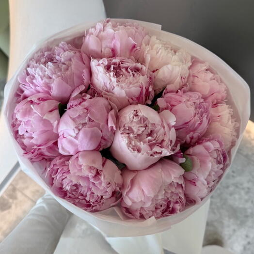 peony blush