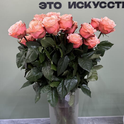 Букет Роз Кахала 11 шт