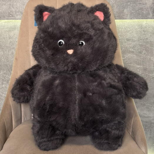 Кот пухляш