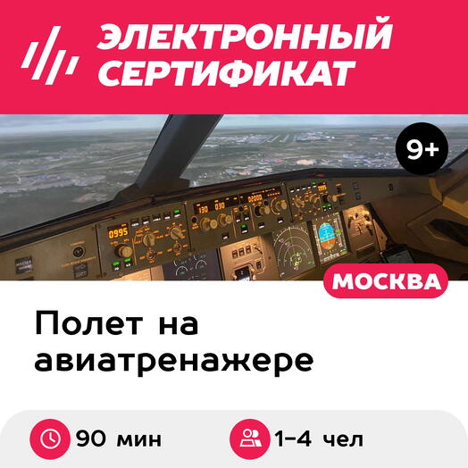 Подарочный сертификат Полет на авиатренажере самолета Airbus A320, 90 мин., 1-4 чел., выходные