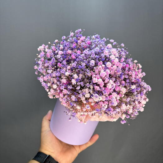 Коробочка фиолетовых гипсофил