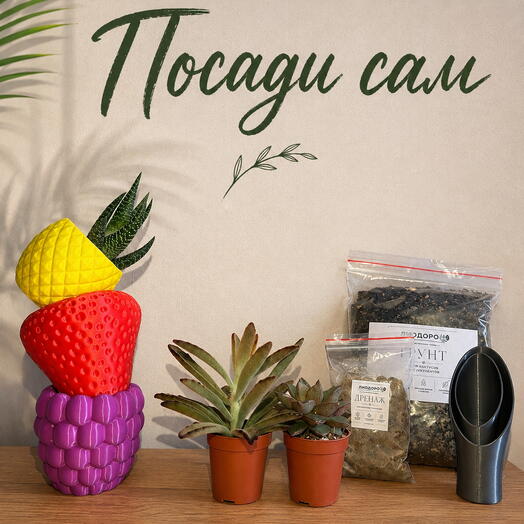 Набор растений «Посади сам»